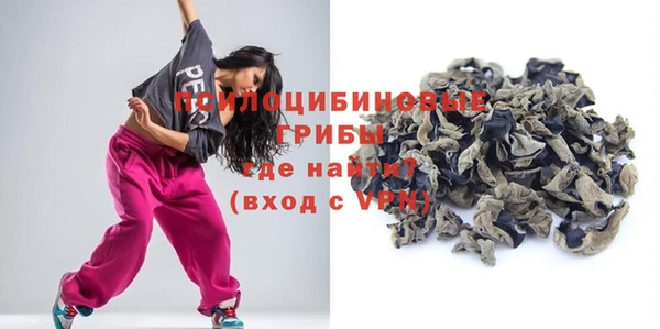 спиды Аркадак