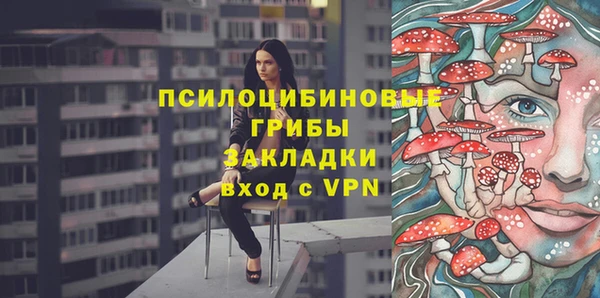 спиды Аркадак