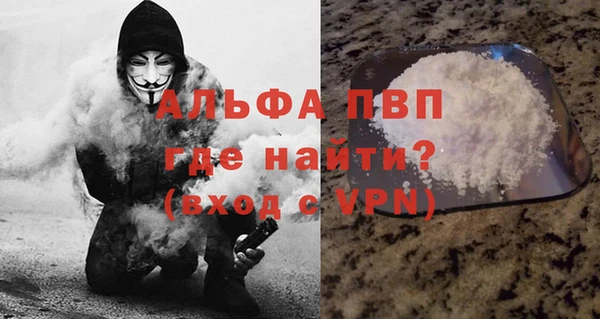 спайс Арсеньев