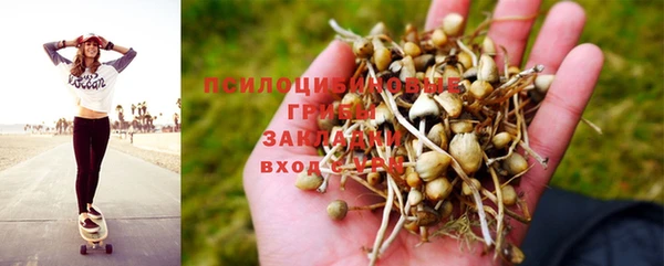 спиды Аркадак