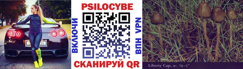 mega вход дарк нет формула Псилоцибиновые грибы Psilocybine cubensis Советская Гавань